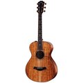  Taylor Custom #40: C22e 12-Fret B5040