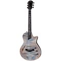  Taylor Custom #15: CT5z B5015