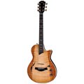  Taylor Custom #27: CT5z B5027