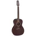  Takamine GY21E SM