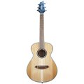  Breedlove Discovery S Companion